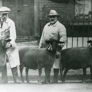 1900s Tommy Camps Centre owner of Moulton Manor Farm110