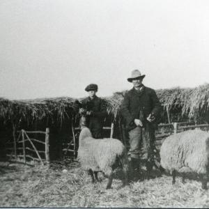 1900sTom Ingle shepherd112