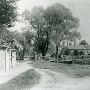 1910 Brookside Shepherd Dog086