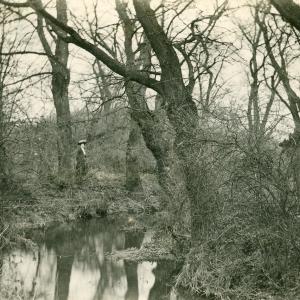 1910 Dalham Meadows Eliza Clarke note the size of the riv