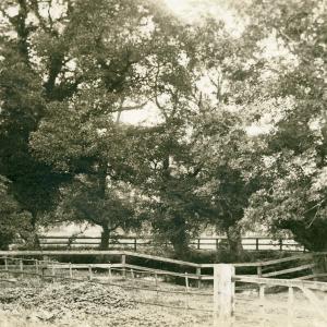 1910 French Hall pond postcard522