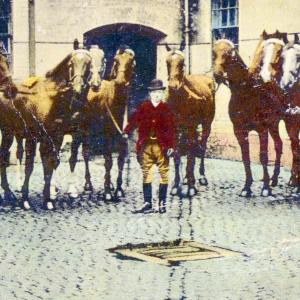 1910 Moulton Paddocks Sir Ernest Cassels horse with Wil