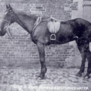 1910 Moulton Paddocks William Norris with Coup d Etal181