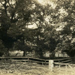 1910 The Street French Hall Pond999