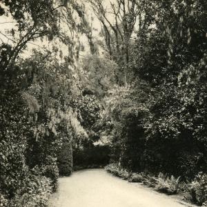 1911 The Priory gardens 2202