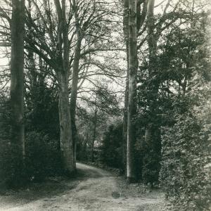 1911 The Priory gardens201