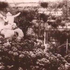 1917 Moulton Paddocks Winter Garden