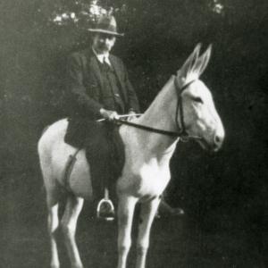 1920 Mr A Melville agent for Moulron Paddocks283