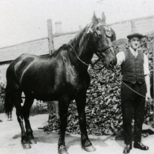 1925 No 5 Brookside Alfred Plummer290