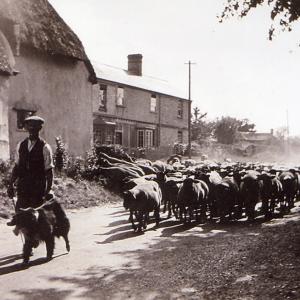 1930s Bridge St Bridge Farm House530