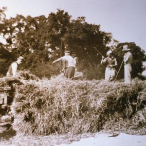 1930s Gazeley Rd stack making for Bridge Farm456