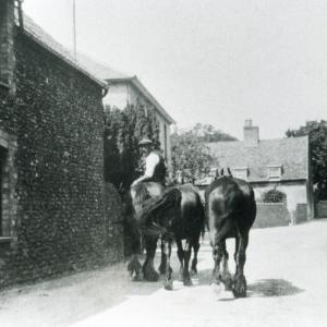 1930s The Street Ben Devonish on French Hall Farm horses4