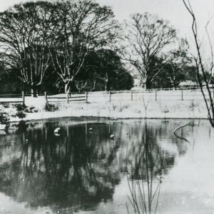 1935 French Hall Pond455