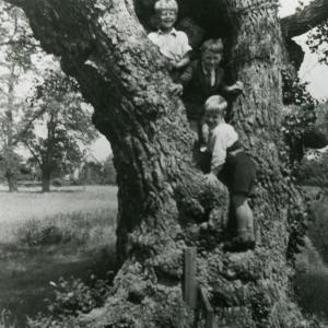 1935 french Hall Meadow Joe Goodchild Derek Hammond Davi