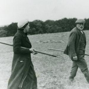 1940 Plantation Hill Bridge Farm harvesting Doris Vizard