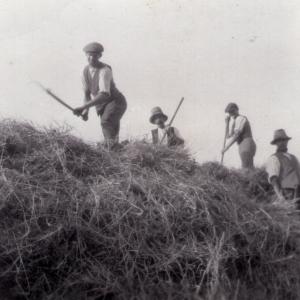 1940s Moulton Manor Farm. Mr Turner flat cap with three Italian POWs