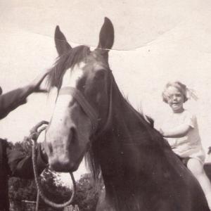 1940s Moulton Manor Farm. Mr Turner with his horses 2