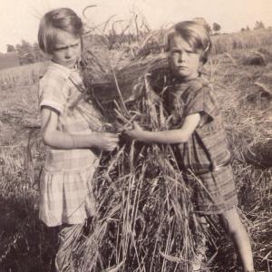 1940s Moulton Manor farm Ileen Beryl harvesting making Stooks.