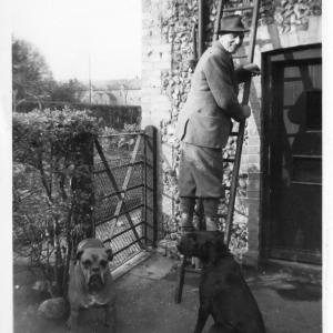 1940s Moulton Paddocks Charlie Grass on a ladder. also Benny the dog
