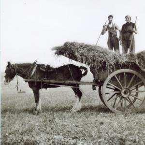 1942 Kennett Rd Herbert Daines Doris Vizard554