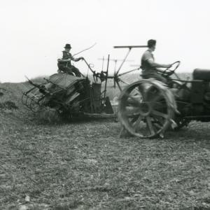 1942 Plantation Hill Bridge Farm harvesting675