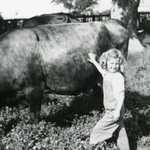 1944 Anita Jennings with Bridge Farm cows694