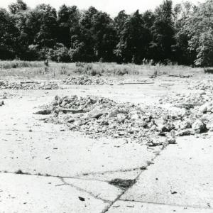 1950 Lanwades Park Animal Health Trust 10643