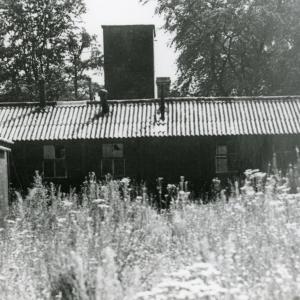 1950 Lanwades Park Animal Health Trust 5638