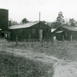 1950 Lanwades Park Animal Health Trust 6639