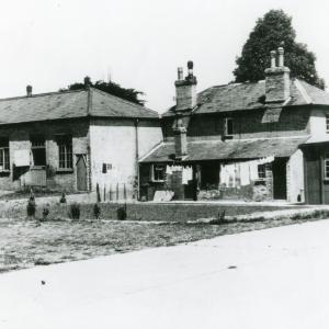 1950 Lanwades Park Animal Health Trust 7640