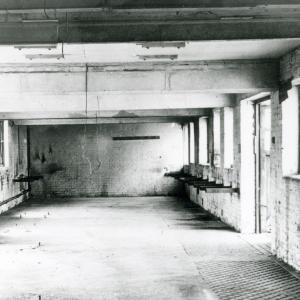 1950 Lanwades Park Animal Health Trust636