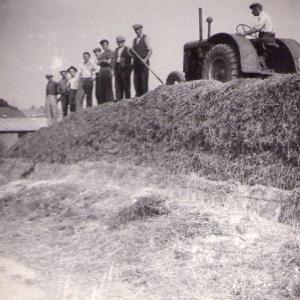 1950 Trinity Hall farm silage making Mortlock on tractor 4