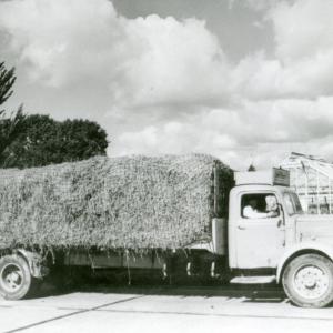 1950s One of Douglas Griffiths lorries720