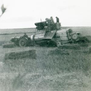 1953 Newmarket Rd Trinity Hall Farm harvesting338
