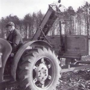 1954 Trinity Hall farm Herbert Daines with an early beet harvester