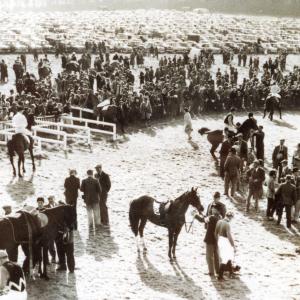 1955 Folly Hill P to P 2731