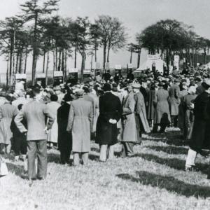 1955 Folly Hill P to P 3732