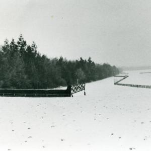 1955 Folly Hill P to P 734