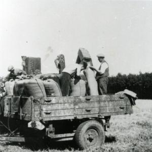 1955 Nr The Boys Grave Trinity Hall Farm340