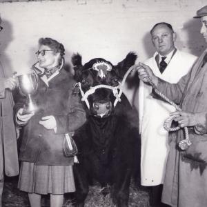 1958 Agricultral show Moulton Paddocks best bull Ian MacGregor left with Ted Radford right