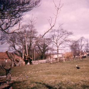 1958 French Hall Meadow767