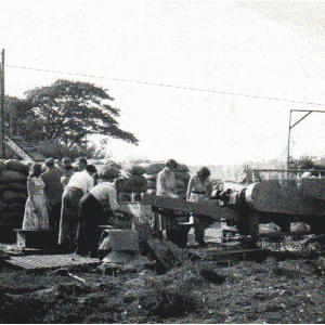 1960s Trinity Hall Farm 2