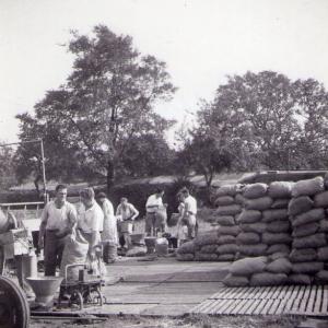 1963 Trinity Hall Farm the Carrot Wash 2