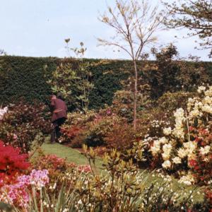 1964 Moulton Hall Gardens 7785