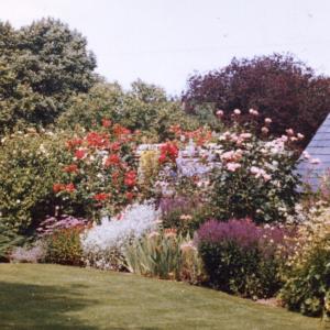 1964 Moulton Hall Gardens 8786