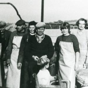 1965 Chippenham Rd Trinity Hall Farm vegetable plant825