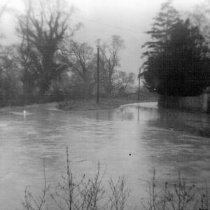 1965 approx Brookside in flood. Note the elm trees