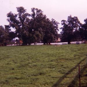 1968 17th Sept Great Flood French Hall Meadow794
