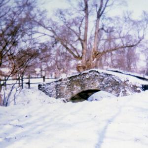 1969 Brookside The Pretty Bridge654