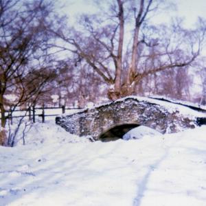 1969 The Pretty Bridge803